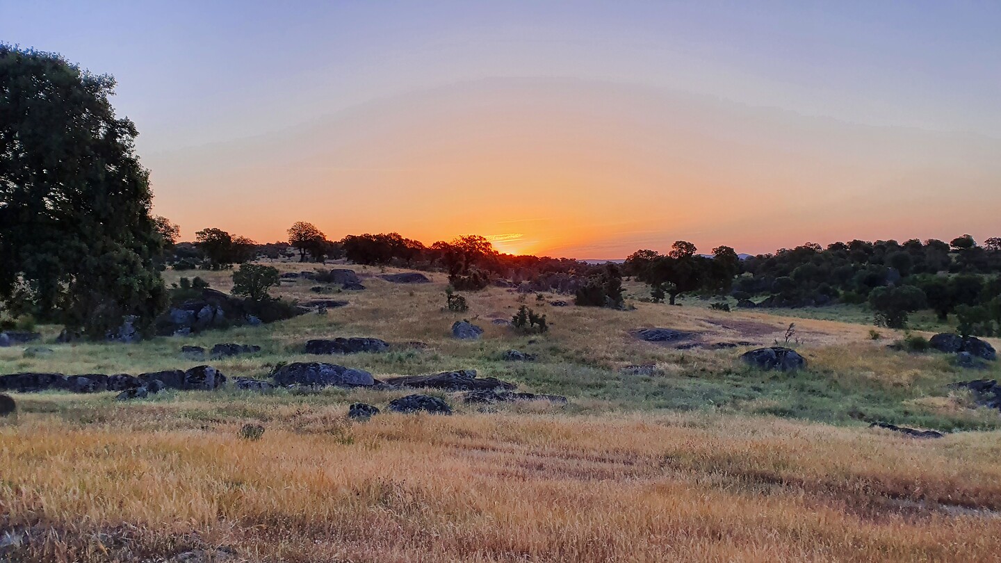 20220519_071835