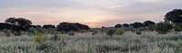 20220520_071837