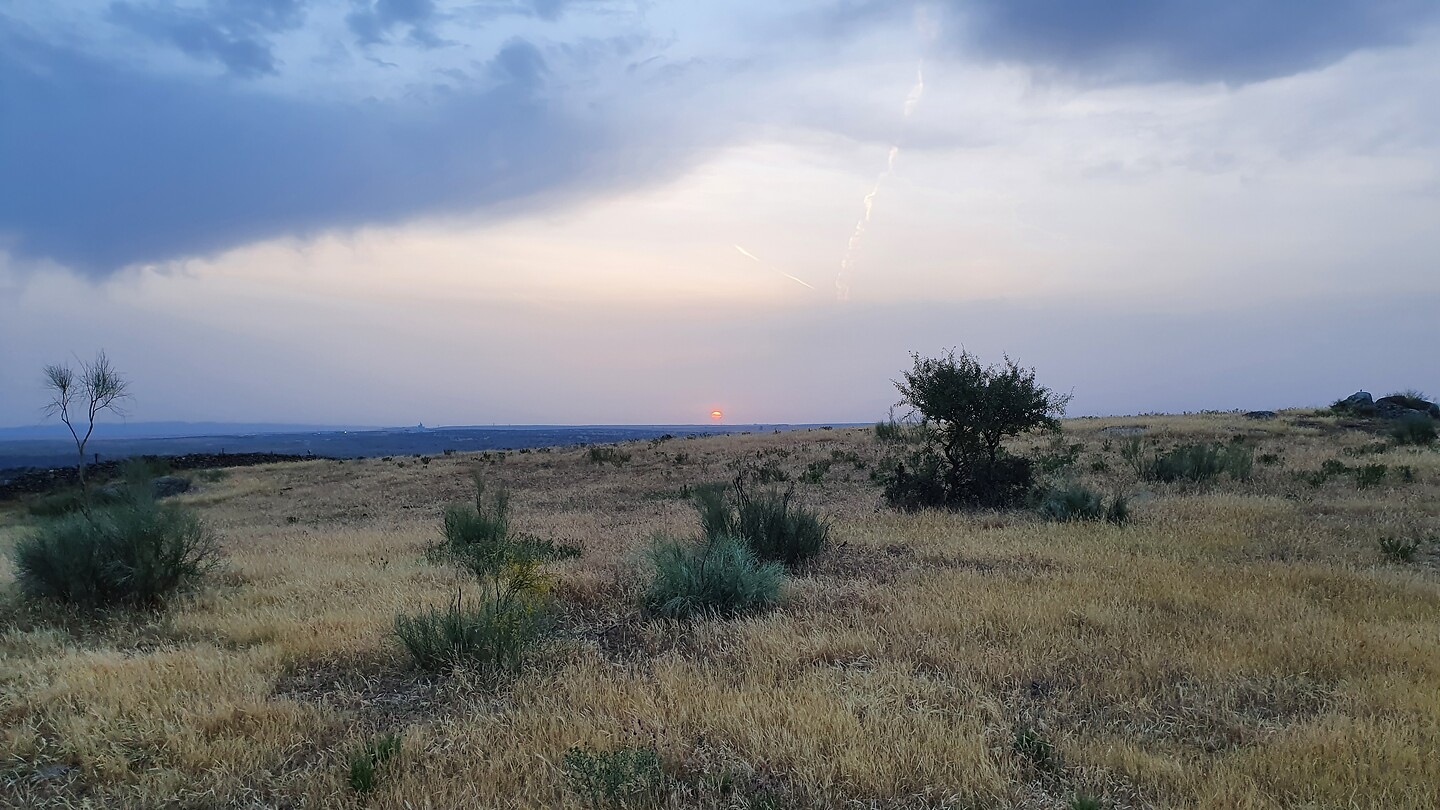 20220521_071158