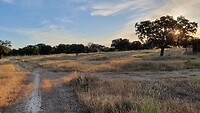 20220524_073545