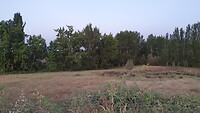 20220524_065538