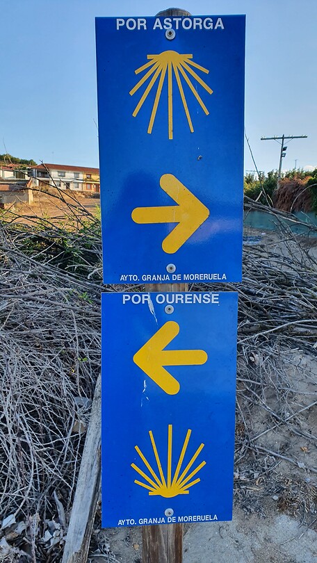 20220604_081822