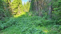 20230628_093949