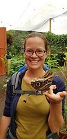 Mariposas de Mindo