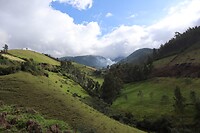 Omgeving otavalo