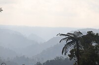 De vallei