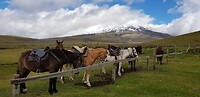 Cotopaxi