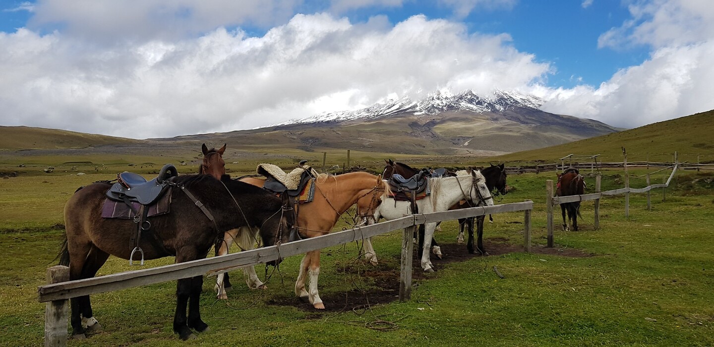 Cotopaxi