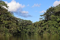 Cuyabeno rivier