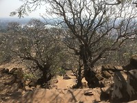 Zicht van boven op Vat Phou