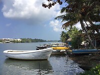 Lagune in Bentota