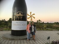 Sula winery