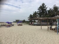 IMG_8941