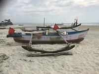 IMG_8938
