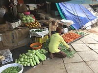 IMG_9078