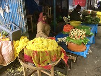 IMG_9084