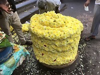 IMG_9089