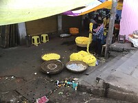 IMG_9082