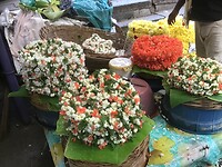IMG_9088