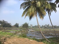 IMG_9177