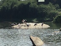 IMG_9212