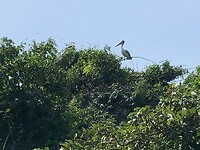 IMG_9216