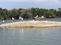 IMG_9233