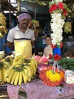 IMG_9296