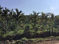 IMG_9495