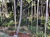 IMG_9553