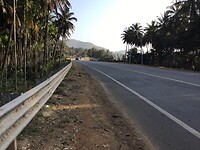 IMG_9554