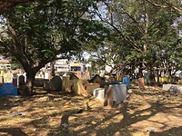 IMG_9575