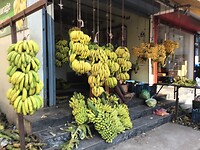 IMG_9582