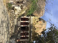 IMG_9625