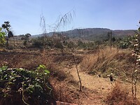 IMG_9674