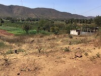 IMG_9676