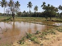 IMG_9679