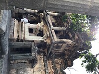 IMG_9648