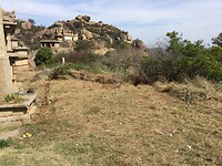 IMG_9642