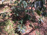 IMG_9546