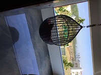 IMG_9498