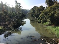 IMG_9486