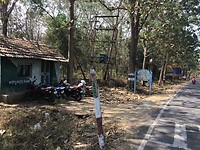 IMG_9862