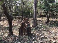 IMG_9864