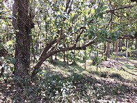 IMG_9876