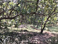 IMG_9882