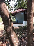 IMG_9880