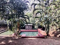 IMG_9886