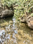 IMG_9892