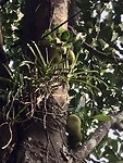 IMG_9905